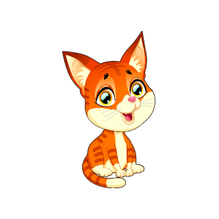 image de chat