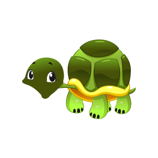 image de tortue